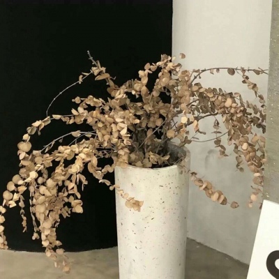 兽设黎明场景绘制福瑞交流群